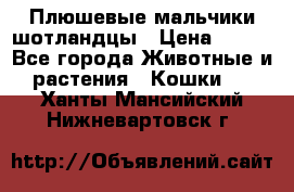 Плюшевые мальчики шотландцы › Цена ­ 500 - Все города Животные и растения » Кошки   . Ханты-Мансийский,Нижневартовск г.